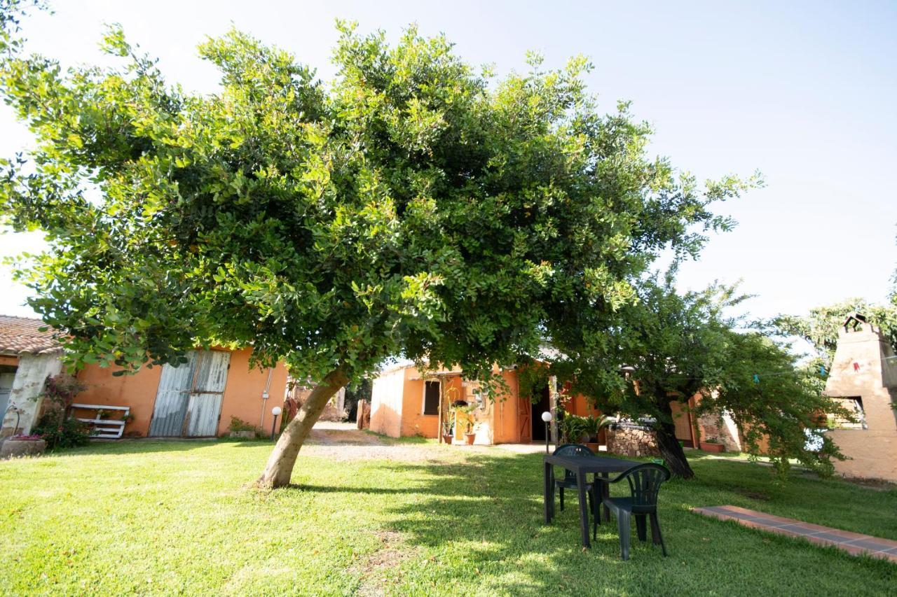 Bed and Breakfast Is Cuccus Masainas Экстерьер фото